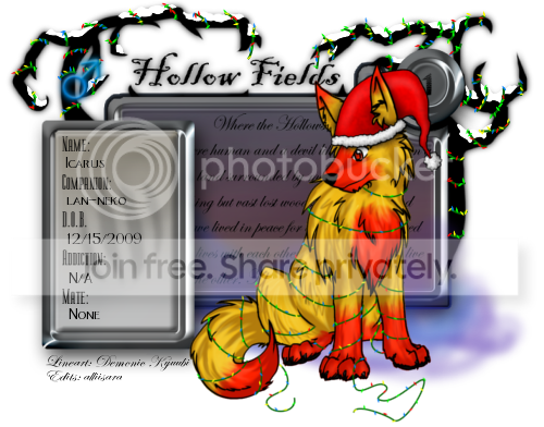 User Image